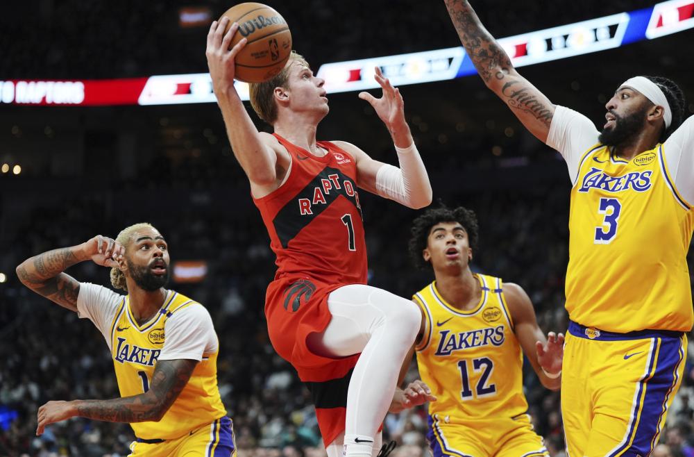 社交媒体上 社交媒体上